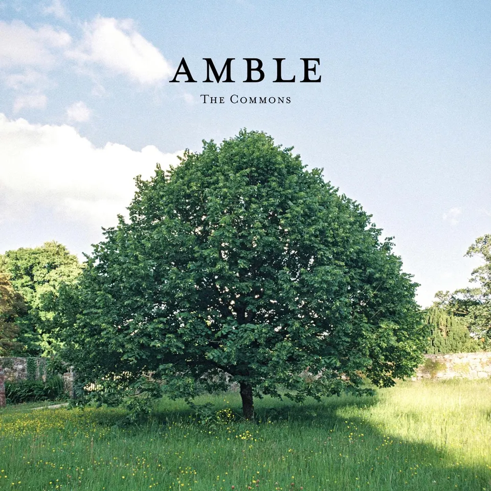 The Commons cover
